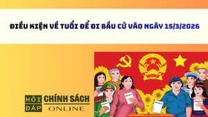 Điều kiện về tuổi để đi bầu cử vào ngày 15/3/2026