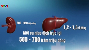 Bóc gỡ đường dây mua bán gan, thận tiền tỷ