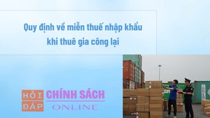 Quy định về miễn thuế nhập khẩu khi thuê gia công lại