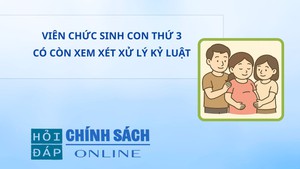 Viên chức sinh con thứ 3 có còn xem xét xử lý kỷ luật?