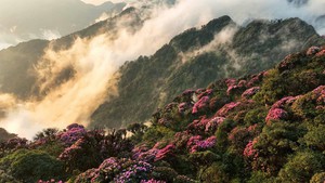 Khám phá vẻ đẹp kỳ vĩ và giàu bản sắc của Lai Châu