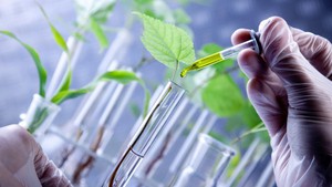 Phát triển công nghệ sinh học thành ngành kinh tế - kỹ thuật quan trọng