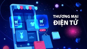 Thương mại điện tử xuyên biên giới: Mở ‘đường băng’ mới cho hàng Việt