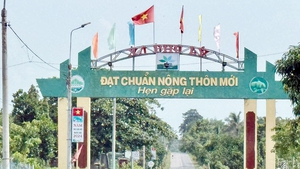 Quy định thu hồi danh hiệu nông thôn mới giai đoạn 2026 - 2030