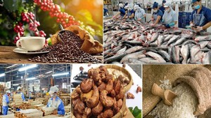 Giữ vững đà tăng trưởng, mở rộng thị trường xuất khẩu