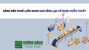 Hàng hóa thuê liên danh gia công lại có được miễn thuế?