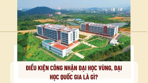 Tiêu chuẩn công nhận đại học vùng và đại học quốc gia
