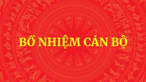 Bí thư Thành ủy Hà Nội Nguyễn Duy Ngọc làm Trưởng Ban Tổ chức Trung ương