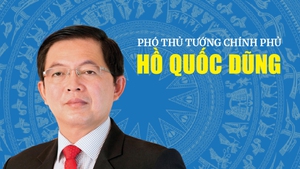 Infographic: Tiểu sử tóm tắt Phó Thủ tướng Chính phủ Hồ Quốc Dũng