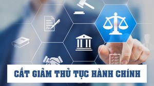 Cắt giảm, đơn giản hóa thủ tục hành chính, điều kiện kinh doanh