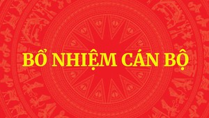 Ông Hà Minh Hải giữ chức Phó Trưởng Ban Tổ chức Trung ương