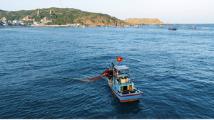Gỡ “thẻ vàng” IUU: Đồng bộ các giải pháp hướng tới nghề cá xanh, bền vững, minh bạch