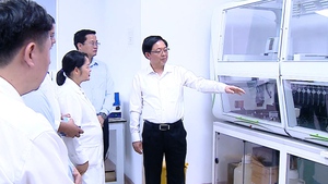 NIC phải mạnh hơn, lớn hơn, đóng góp tốt hơn cho phát triển đất nước