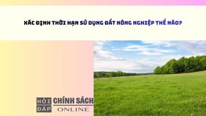 Xác định thời hạn sử dụng đất nông nghiệp thế nào?