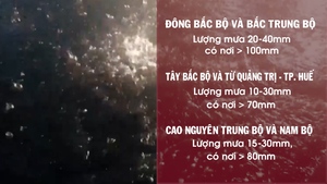 Cảnh báo mưa dông, mưa lớn cục bộ, lốc, sét, mưa đá, gió giật mạnh 