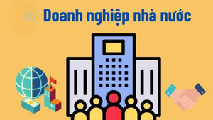 Tiêu chuẩn, điều kiện bổ nhiệm người quản lý doanh nghiệp nhà nước
