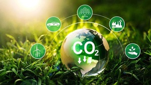 Nguyên tắc mới về dịch vụ carbon rừng