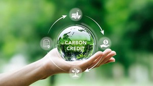 Quy định mức chi trả dịch vụ carbon rừng