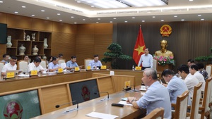 Triển khai tổng thể các biện pháp để phát triển thị trường trong nước  