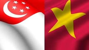 Việt Nam – Singapore thúc đẩy hợp tác sâu rộng trong giai đoạn mới