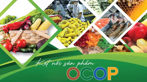 Tiêu chí đánh giá và phân hạng sản phẩm OCOP
