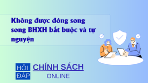 Không được đóng song song BHXH bắt buộc và tự nguyện