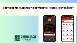 Sai thông tin người phụ thuộc trên eTax Mobile, xử lý thế nào?