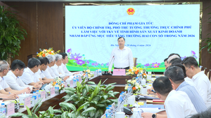 Bảo đảm sản xuất than ổn định, vượt các chỉ tiêu sản xuất kinh doanh