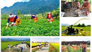 Thực hiện nhóm giải pháp thúc đẩy giải ngân chương trình mục tiêu quốc gia