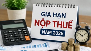 Gia hạn thời hạn nộp thuế và tiền thuê đất năm 2026