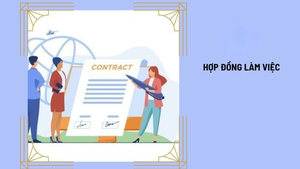 Các loại công việc thực hiện ký kết hợp đồng trong đơn vị sự nghiệp công lập