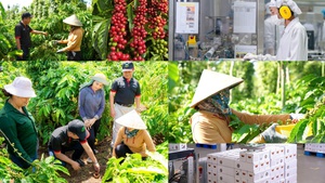 Nghị quyết 10-NQ/TW: Doanh nghiệp FDI tin tưởng và kỳ vọng
