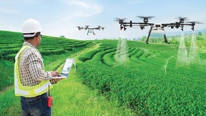 Điều kiện thành lập khu nông nghiệp ứng dụng công nghệ cao