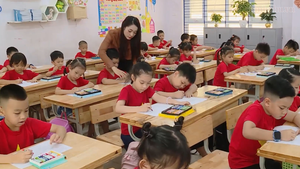 Trường hợp không sáp nhập trường học tại công văn 777/TTg-TCCV