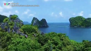 Nghị quyết 10-NQ/TW: Doanh nghiệp FDI tin tưởng và kỳ vọng