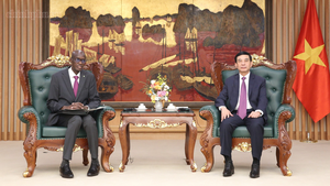 Thúc đẩy hợp tác thực chất giữa Việt Nam - Mauritania