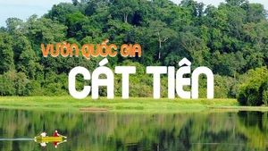 Chuyển giao Vườn quốc gia Cát Tiên về tỉnh Đồng Nai quản lý