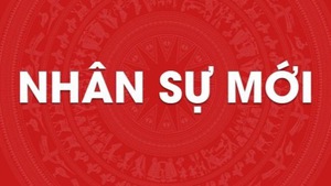 Bà Hồ Thị Hoàng Yến giữ chức Phó Bí thư Thường trực Tỉnh ủy Tây Ninh