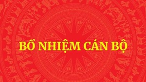 Ông Tô Anh Dũng được bầu giữ chức Chủ tịch UBND tỉnh Thanh Hoá nhiệm kỳ 2026-2031