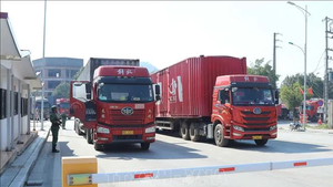 Các trường hợp được lựa chọn nơi làm thủ tục hải quan