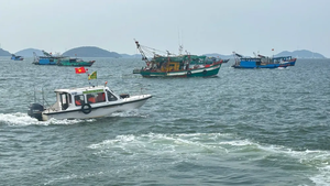Vi phạm nghiêm trọng trong khai thác thủy sản bị phạt tới 1 tỷ đồng