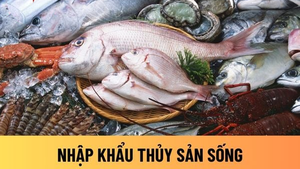 Vi phạm về nhập khẩu, xuất khẩu thủy sản sống bị phạt tới 50 triệu đồng