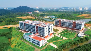 Giảm ít nhất 20% đầu mối đại học công lập trước 1/4/2027