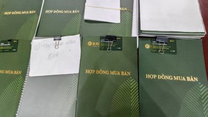 Khởi tố 40 vụ án liên quan hợp đồng kỳ nghỉ