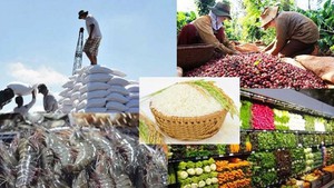 Hướng tới mục tiêu xuất khẩu nông, lâm, thủy sản năm 2027 đạt mục tiêu 100 tỷ USD