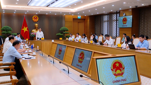 Sửa đổi Luật Đấu thầu phải trên cơ sở thực tiễn