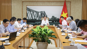 Quy hoạch vùng trồng, nâng cao chất lượng sầu riêng Việt Nam