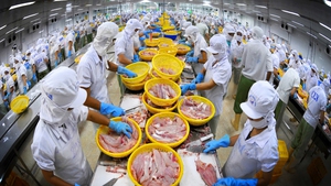 Xuất khẩu thuỷ sản: Hiện thực hoá mục tiêu 12,5 tỷ USD