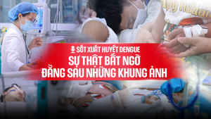 Sốt xuất huyết Dengue: Sự thật bất ngờ đằng sau những khung ảnh