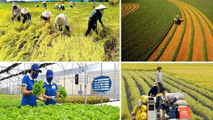 Nông nghiệp: Đổi mới tư duy theo tinh thần Nghị quyết 57-NQ/TW